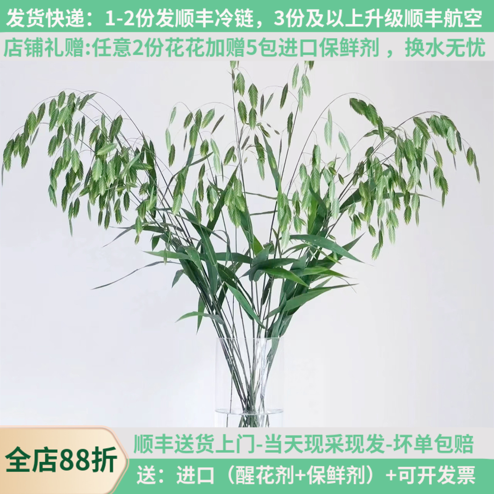 鲜花配草小盼草云南基地直发家用水养婚庆花束昆明配草教师节顺丰