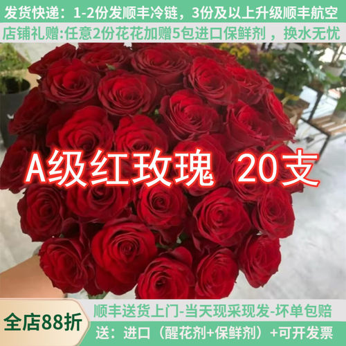 大花红玫瑰鲜花高原红传奇春节