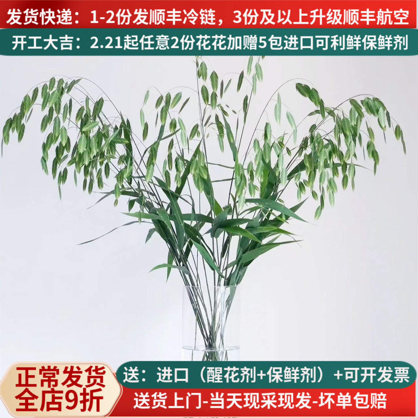 鲜花配草小盼草云南基地直发家用水养婚庆花束昆明配草教师节顺丰