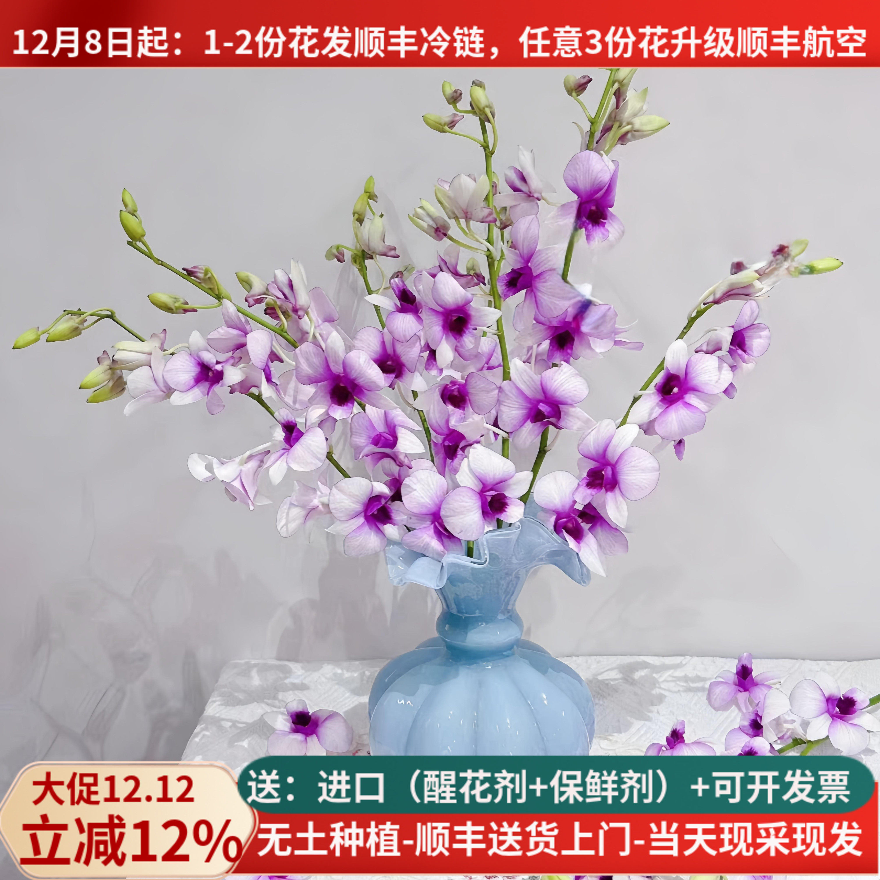 稀有鲜花进口洋兰云南昆明斗南市场鲜花基地直发家用插花束水培