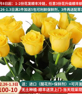 金枝玉叶玫瑰花鲜花直批花束云南昆明基地直发斗南黄花卉玫瑰插花