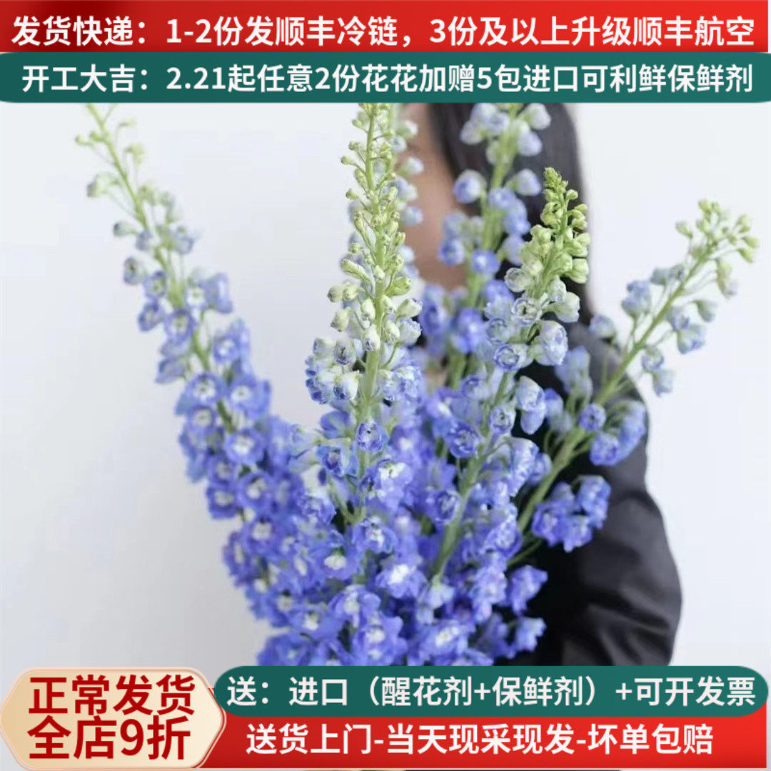 大飞燕家庭插花母亲节基地直发