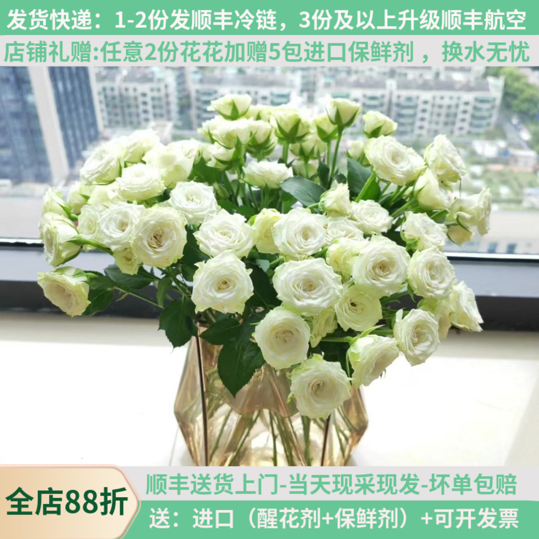 A级多头白色小玫瑰繁星10支