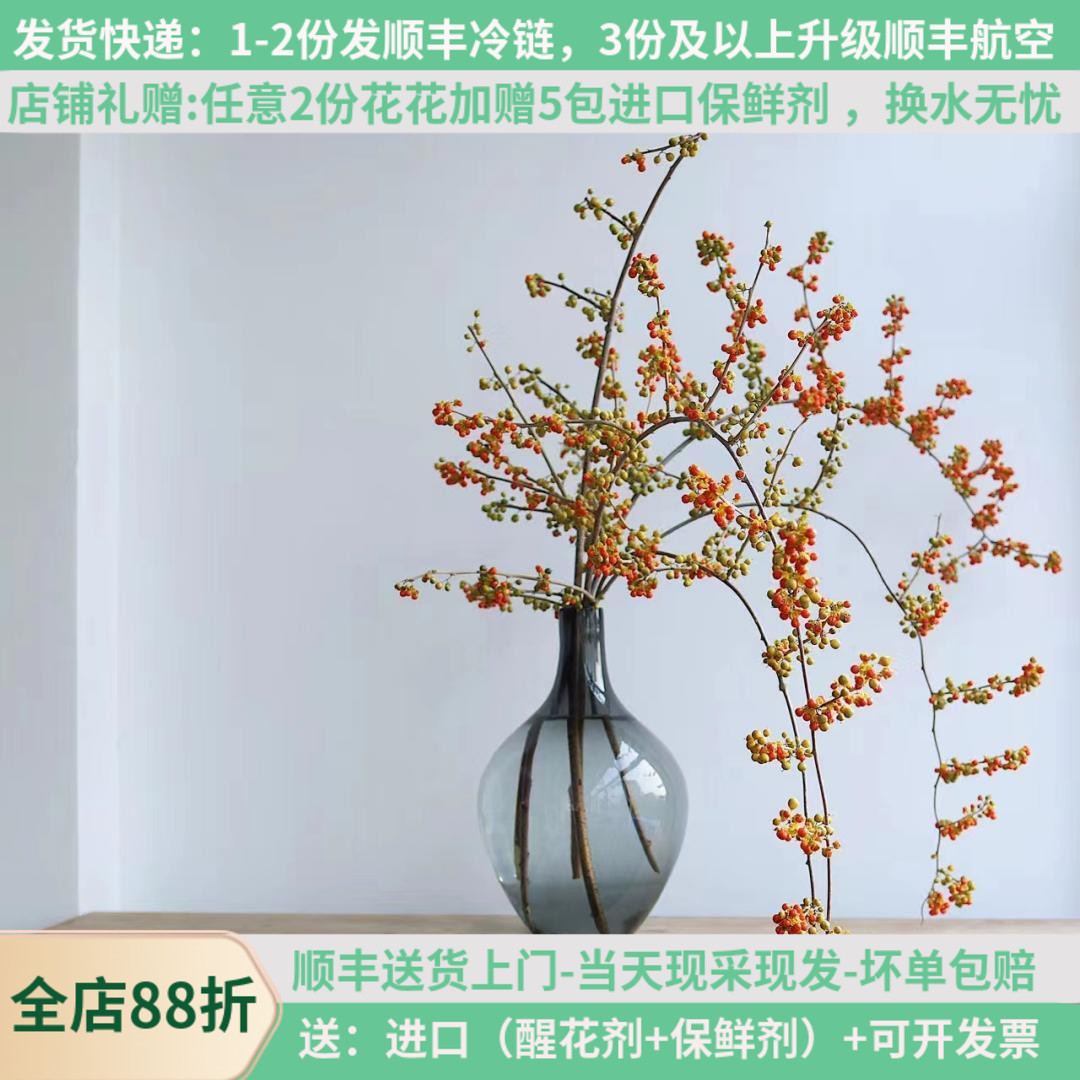 高端花材南蛇藤可以做干花花期长