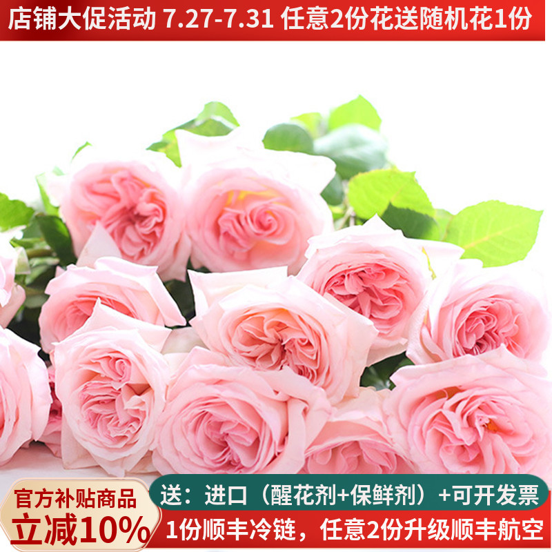 香香的粉色荔枝玫瑰基地当天采摘