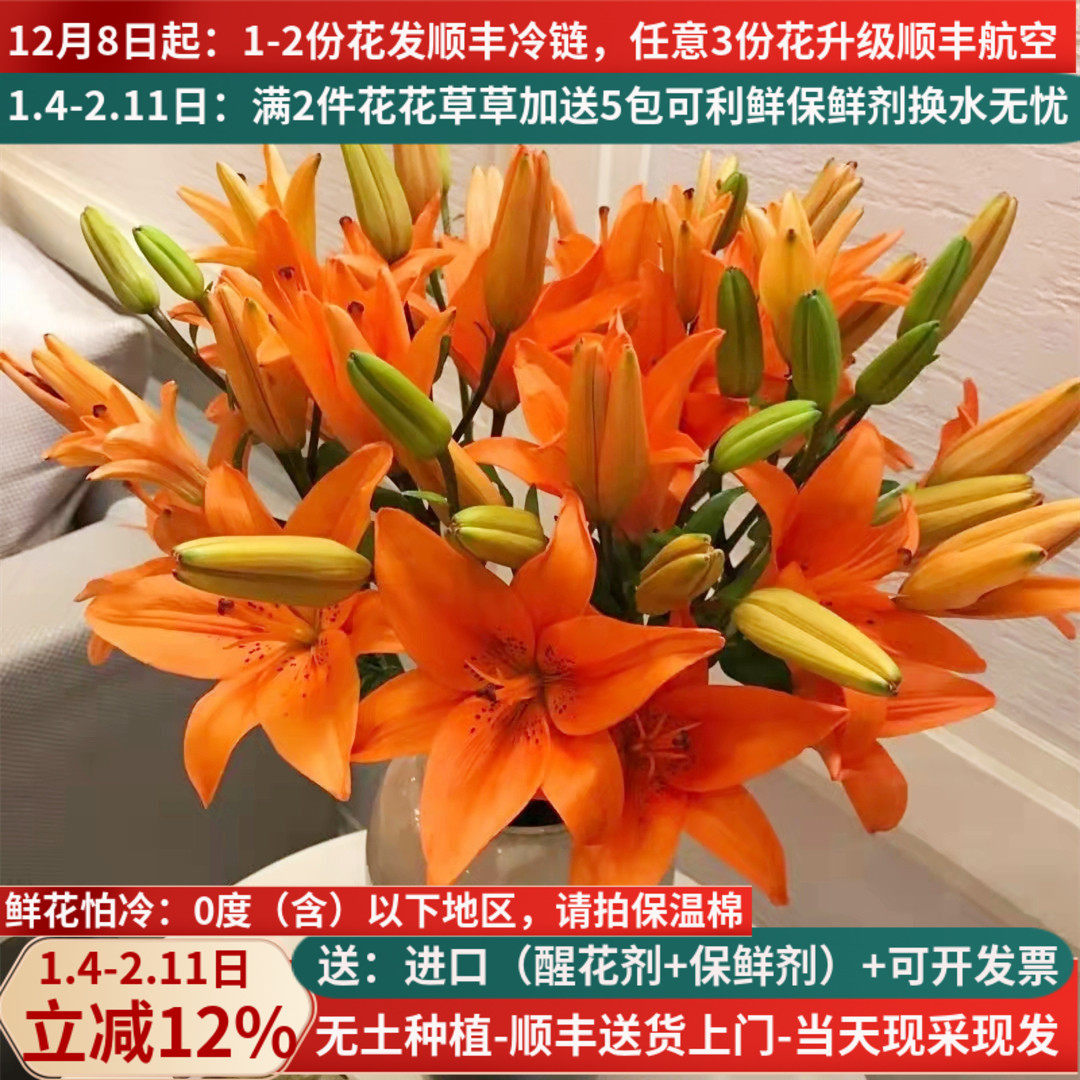 鲜切花橙色亚百合花云南基地直发斗南市场家用水养插花束顺丰,鲜花速递/花卉仿真/绿植园艺,花材,淘宝优惠券,粉丝福利购,淘宝优惠卷