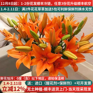 鲜切花橙色亚百合花云南基地直发斗南市场家用水养插花束顺丰