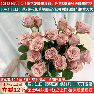 卡布奇诺玫瑰花月季蔷薇昆明基地直发直批航空包邮家用插花鲜花