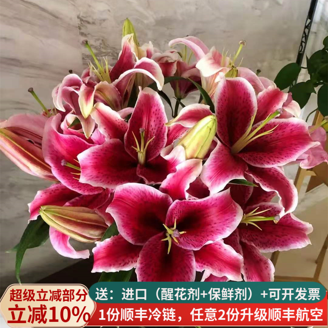 黑美人香水百合鲜花教师节