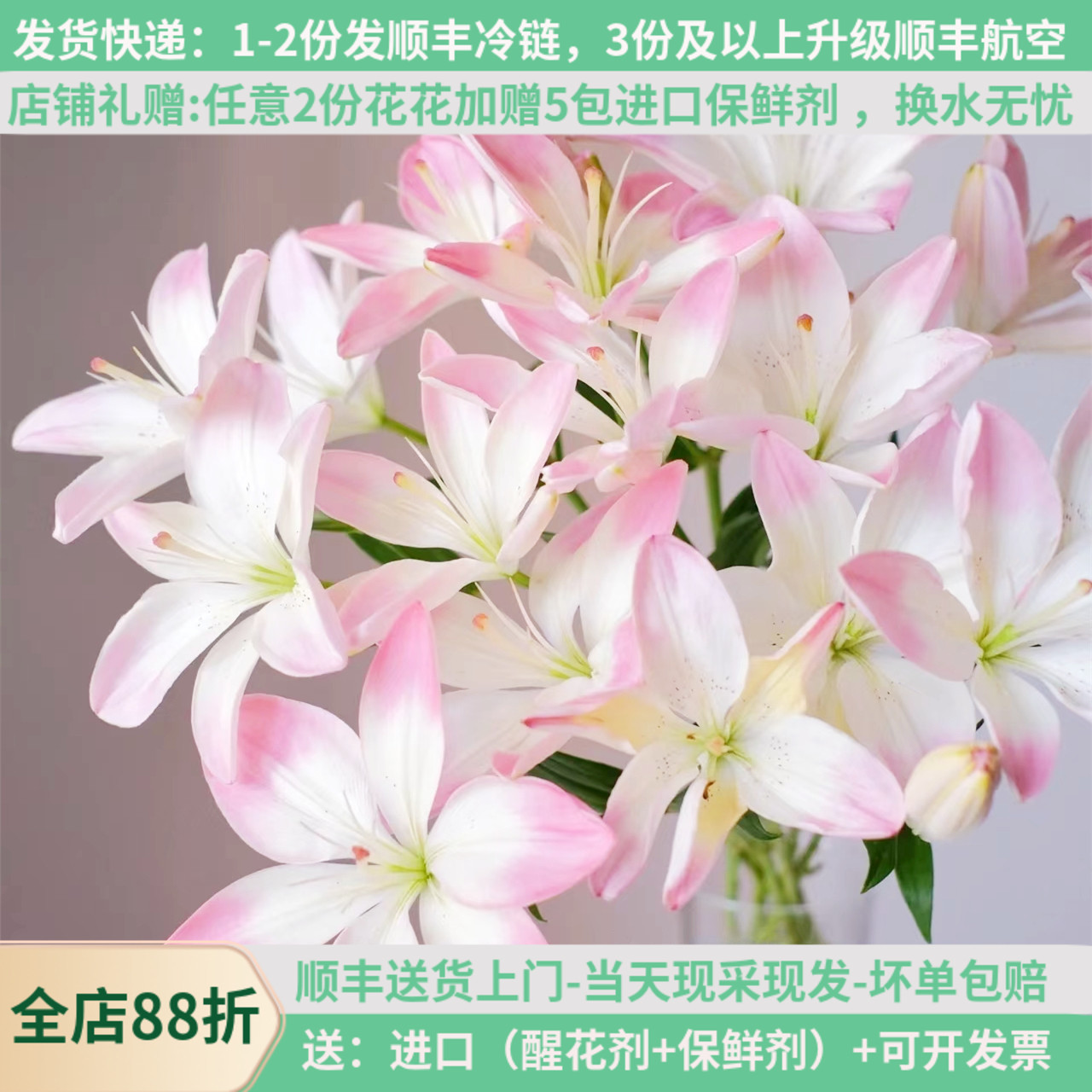 小粉仙萌萌哒亚百合鲜花云南昆明斗南市场基地直发家用水养插花束