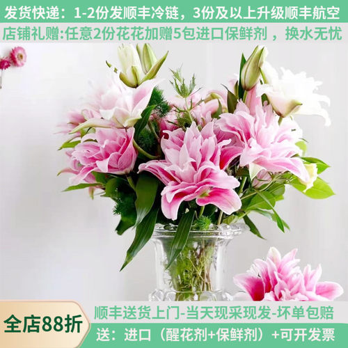 重瓣伊莎贝拉百合年宵花顺丰发货