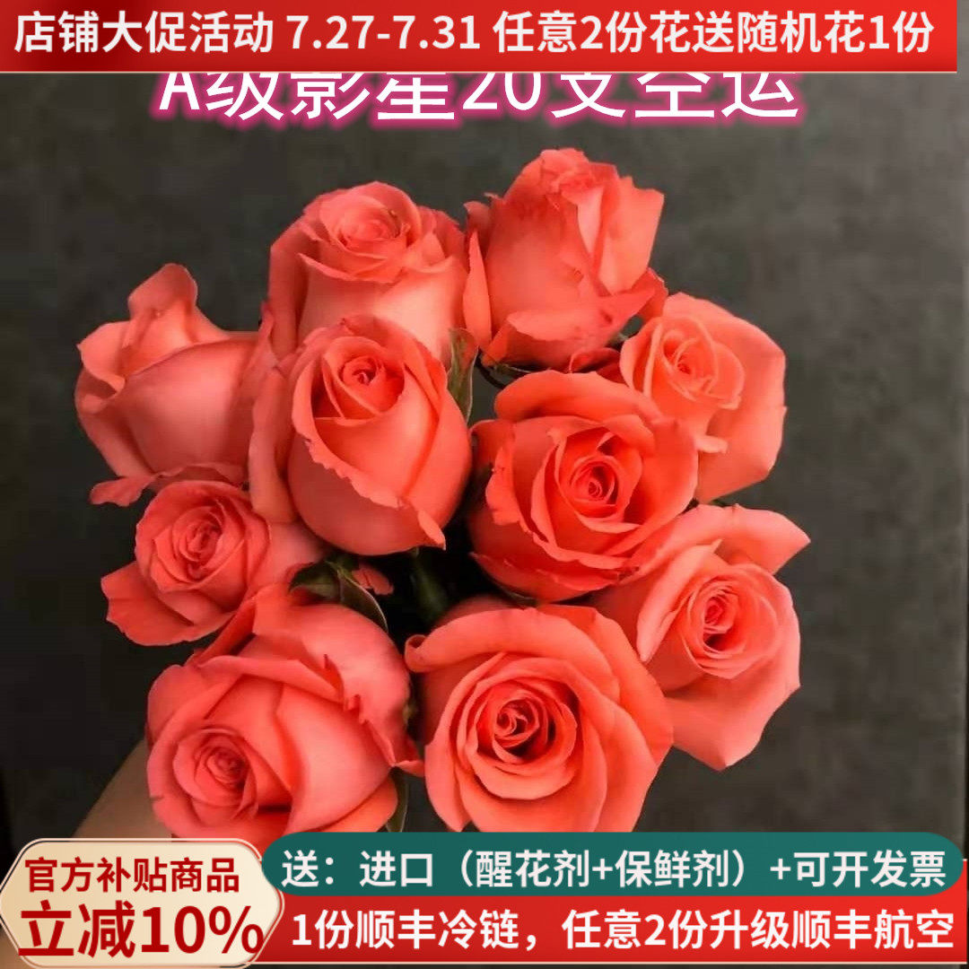 A级影星粉玫瑰花鲜切花云南昆明斗南鲜花基地直发直批家用室内水