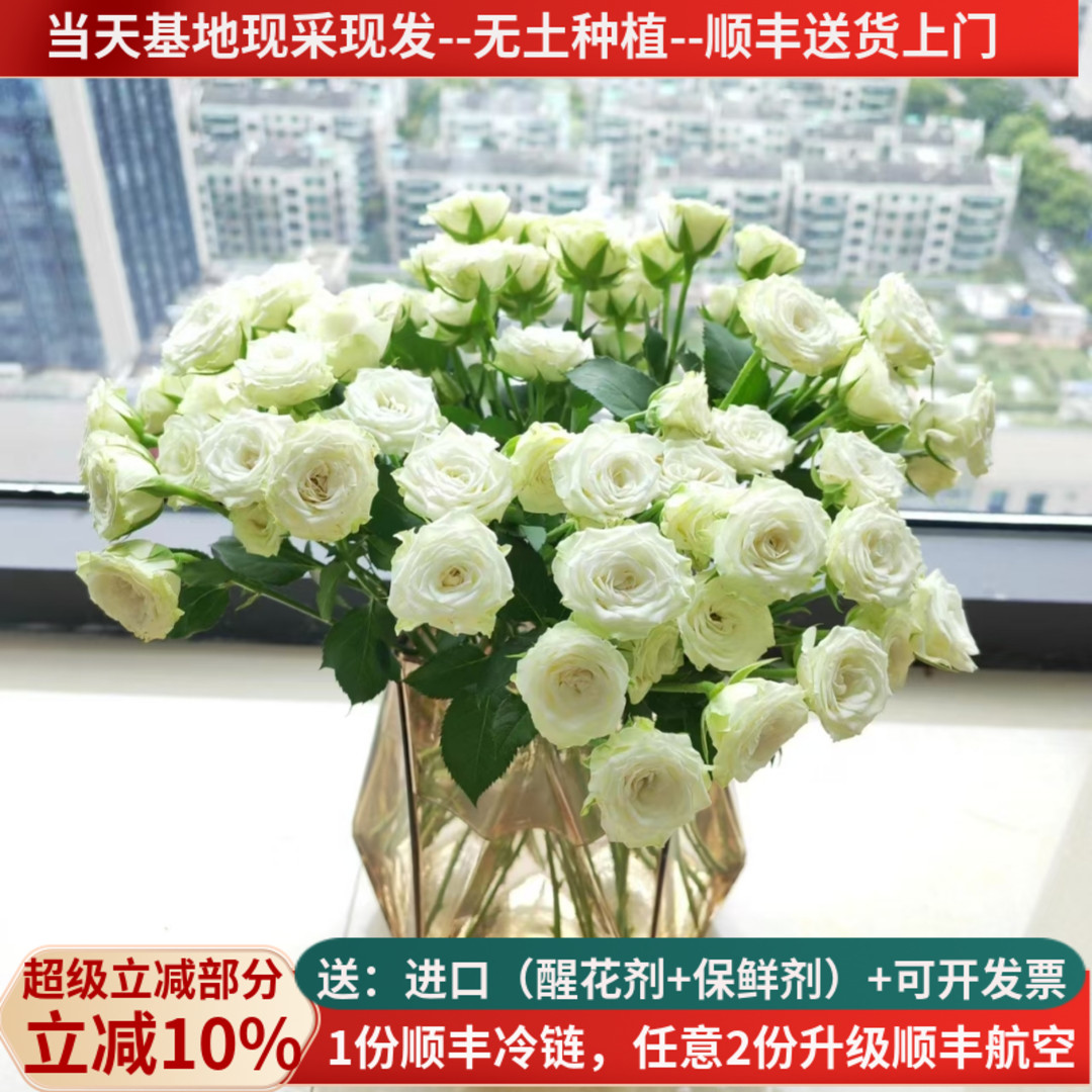 A级多头白色小玫瑰繁星10支