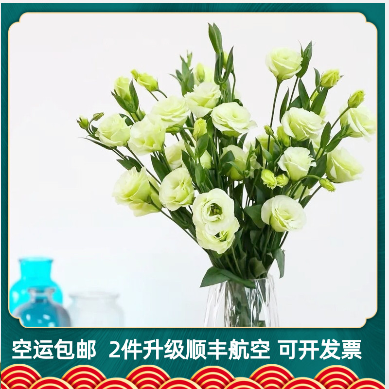 洋桔梗鲜花束多少钱 洋桔梗鲜花束优惠券免费领取 有条鱼