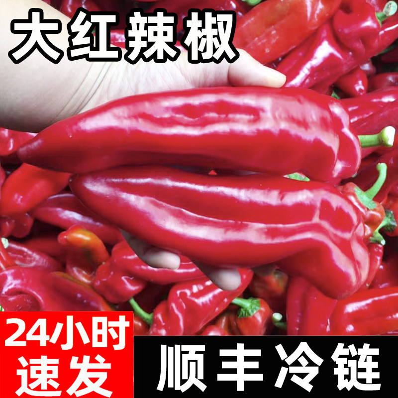大红辣椒尖椒新鲜彩椒泡椒五彩甜椒非小米辣朝天椒做辣椒酱用包邮