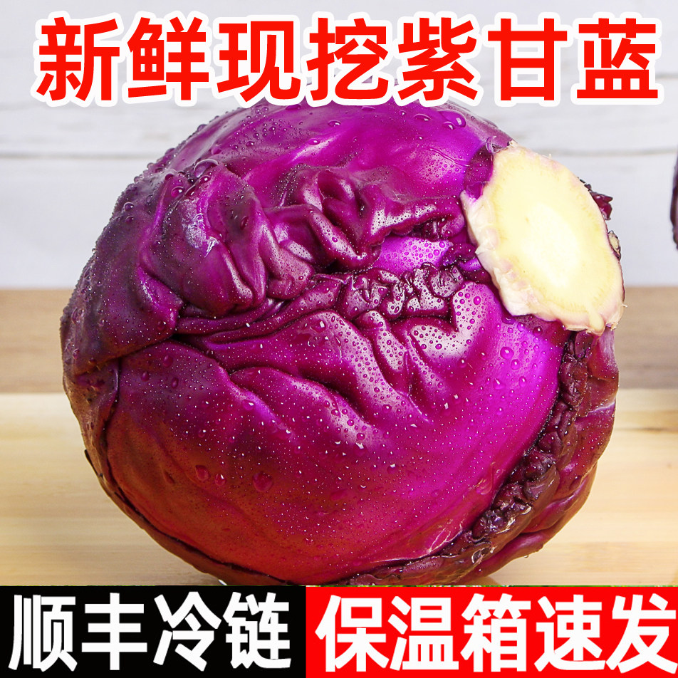 紫甘蓝新鲜顺丰紫包菜紫色球生菜红紫椰菜沙拉食材榨汁蔬菜批发