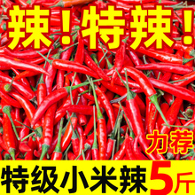 小米辣椒新鲜批发小米椒朝天椒特辣超辣薄皮土红辣椒指天椒