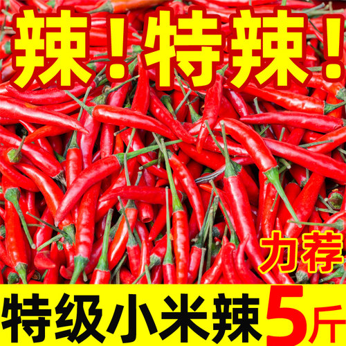 小米辣椒新鲜批发小米椒特别辣