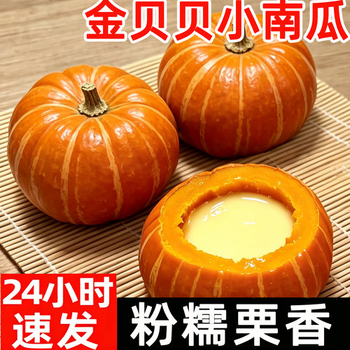 金贝贝南瓜红贝板栗红小南瓜