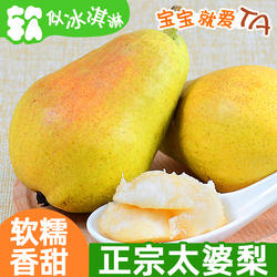 烟台太婆梨大头梨软梨啤酒梨新鲜老婆梨莱阳香洋茄梨水果包邮