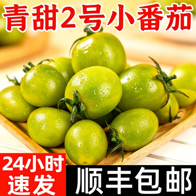 青甜2号青口蜜小番茄生吃顺丰