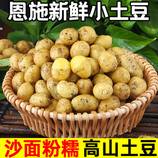 蔬菜整箱迷你马铃薯洋芋 恩施小土豆现挖湖北新鲜黄心土豆当季