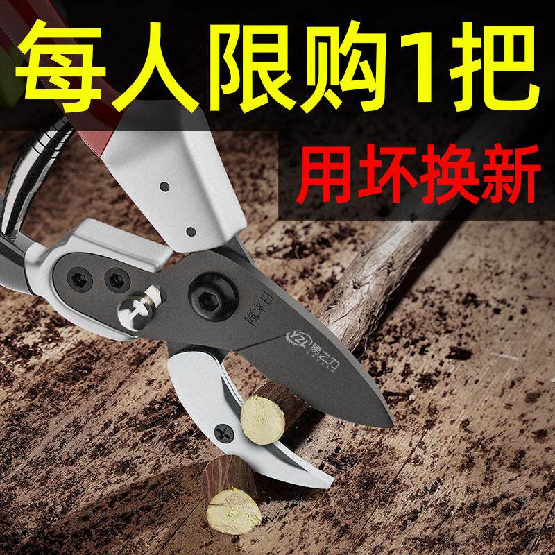 工业级剪枝剪刀日本钢刀头剪树枝修果树花剪园林园艺修枝剪