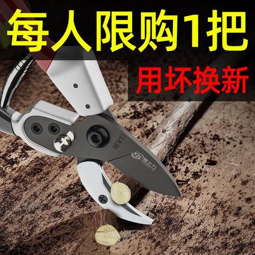 工业级剪枝剪刀日本钢刀头剪树枝修果树花剪园林园艺修枝剪