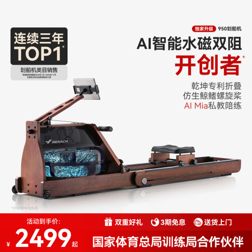 麦瑞克水磁双阻划船机950