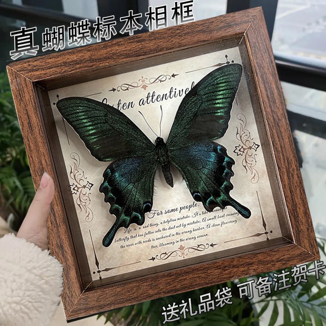 真蝴蝶标本相框 木质装饰画DIY复古相框摆台家具装饰生日礼物礼品图片