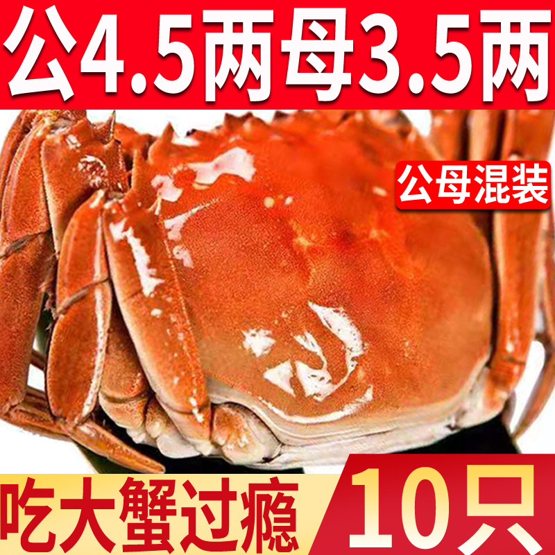 10只特大现货大闸蟹公4.5两母3.5两螃蟹活蟹海鲜水产鲜活蟹礼盒装,水产肉类/新鲜蔬果/熟食,大闸蟹,淘宝优惠券,粉丝福利购,淘宝优惠卷