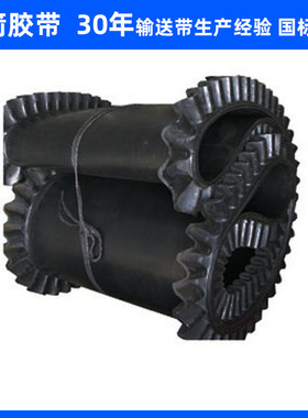 河北蓝箭厂家供应尼龙波形挡边带 耐高温黑色橡胶环形裙边输送带