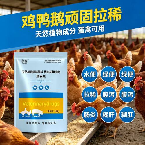肠安康畜禽肠道饲料添加剂