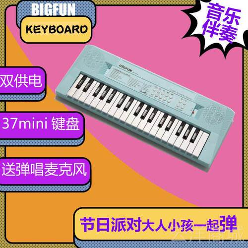 正品BIGFUN电琴动手动款脑启蒙小钢琴7键可子携式式带琴谱数字3贴
