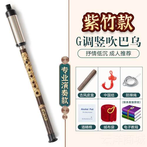 正品巴乌竖吹小B学生初学者奏入门C调调gF调成人专业演调民族乐器