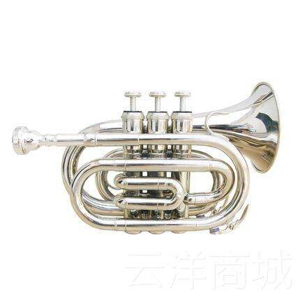 正品正巴赫掌手纹号乐，袖珍小号器乐器，品提掌纹号，B平，短号