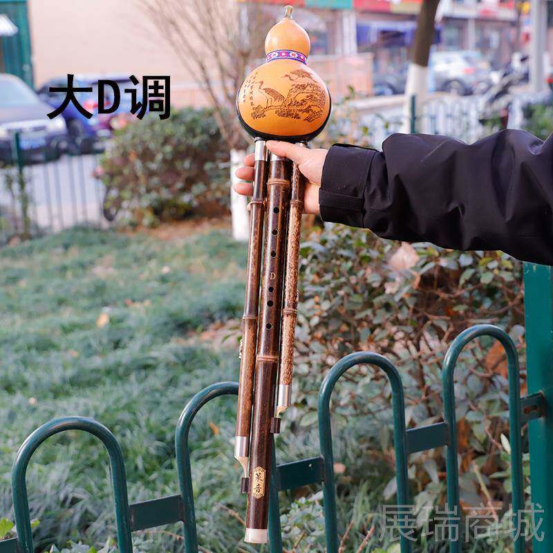 高档紫竹葫芦丝号大降b调大c调大调小D把位易按孔低音乐器配子盒