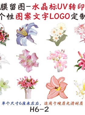 撕膜留图百合花水晶标转印贴