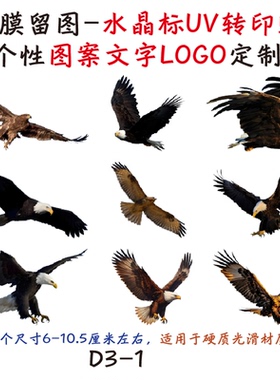 撕膜留图飞禽老鹰水晶标转印贴