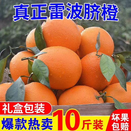 正宗雷波脐橙新鲜水果