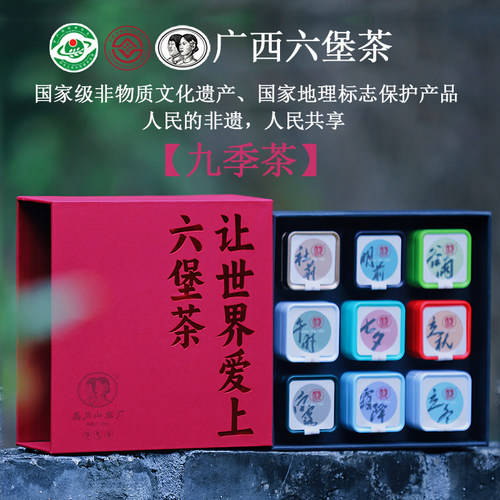 濡菲广西梧州六堡茶叶黑茶国家非遗韦洁群大师传统工艺93g礼盒