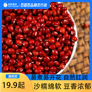 红豆红小豆口感沙糯双皮奶奶茶店农家红小豆新货杂粮豆沙赤小豆