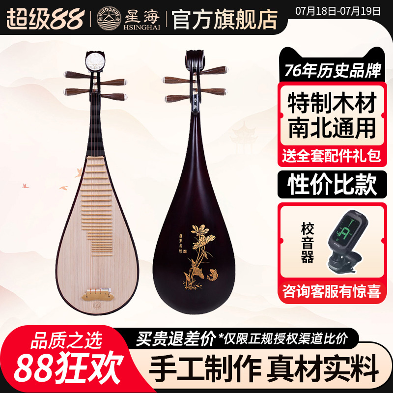 北京琵琶星海成人琵琶