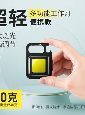 天火（SkyFire）迷你工作灯磁吸露营灯野营灯户外照明灯便携式营