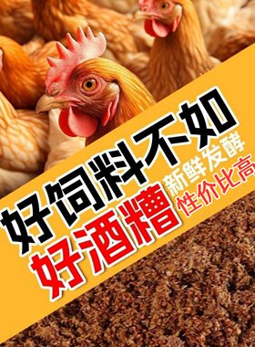 新鲜双曲粮食湿酒糟养殖饲料