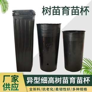 异形加高加厚营养钵细长育苗杯脐橙杯柑橘树苗专用杯黑色细营养杯