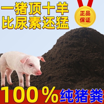 猪粪新鲜晒干纯正肥土