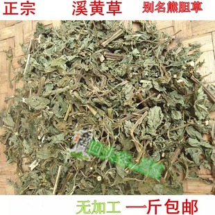 正宗连州连南清远溪黄草茶中药材狭基线纹香茶菜溪沟草苦原无加工