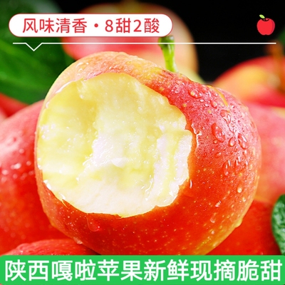 正宗陕西嘎啦苹果红富士现摘冰糖心甜丑平果水果新鲜当季整箱包邮