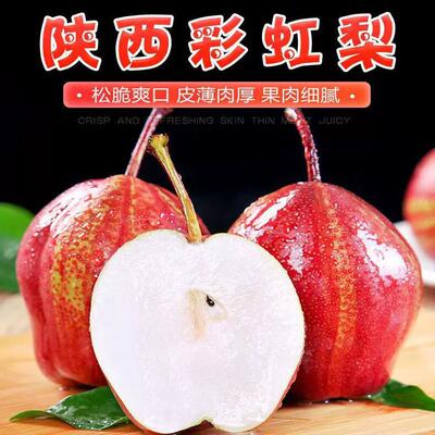 陕西彩虹梨新鲜水果脆甜梨孕妇果脆甜多汁香酥梨红皮梨子特大果5J
